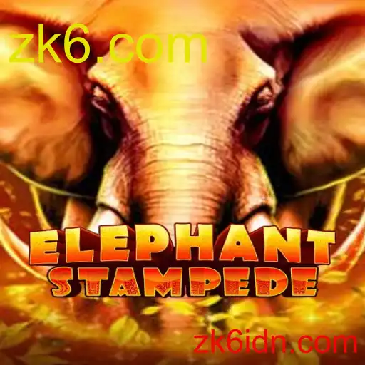 ElephantStampede